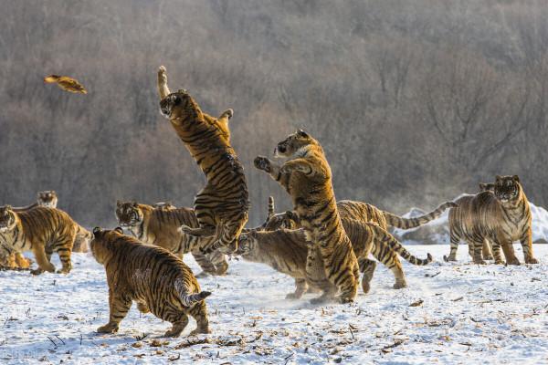 黑龍江絕佳的6大旅遊景點，這輩子一定要去一次！