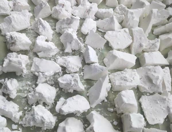 12月正當季，加工成粉一斤上百元，常見於山裡卻很少有人挖