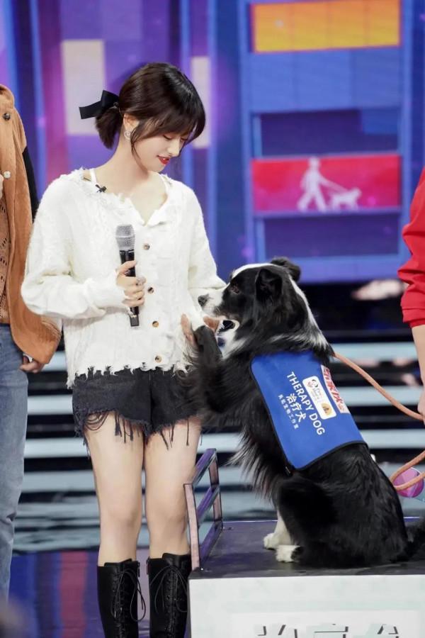 沈月悄悄變瘦變美了，一襲仙女蓬蓬裙，一改往日形象，變得更好看