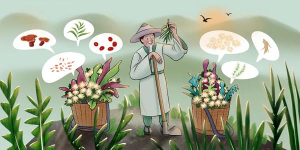 實用！服用中藥的注意事項