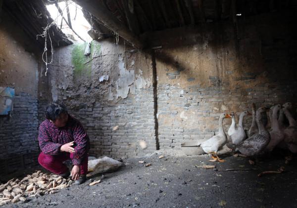 弟弟下葬，哥哥拉住母親，揮起鋤頭挖填茅坑