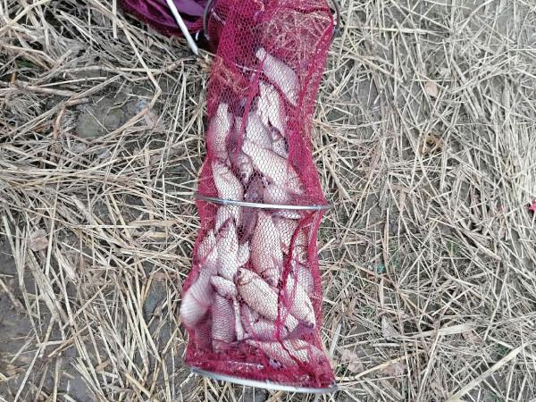 冬季怎麼釣魚，用餌和抓魚吃口才是關鍵