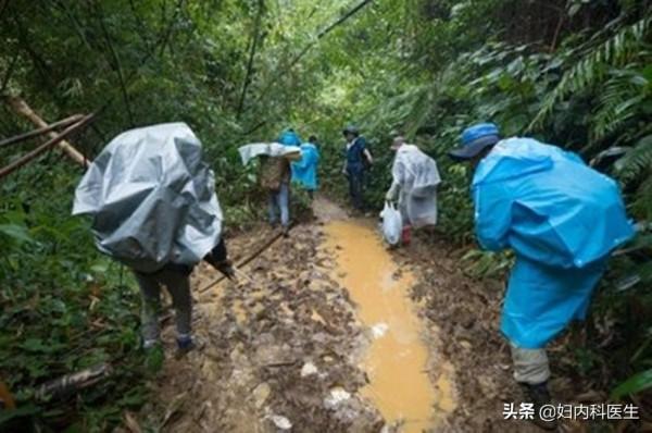 哀牢山遇難人員失蹤後的怪行為到底是怎麼了？醫生一文解析清楚