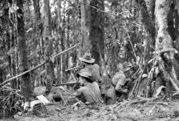 士兵撿樹葉擦屁股,卻遇到世上最劇毒的樹,最終因疼痛難忍而自殺 士兵撿樹葉擦屁股,卻遇到世上最劇毒的樹,最終因疼痛難忍而自殺