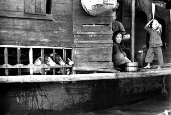 斛珠夫人中珍珠在歷史上的存在 斛珠夫人中珍珠在歷史上的存在