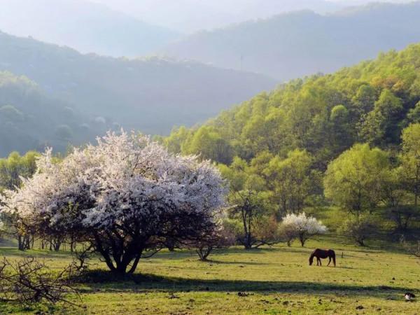 31天法定假日該咋花？