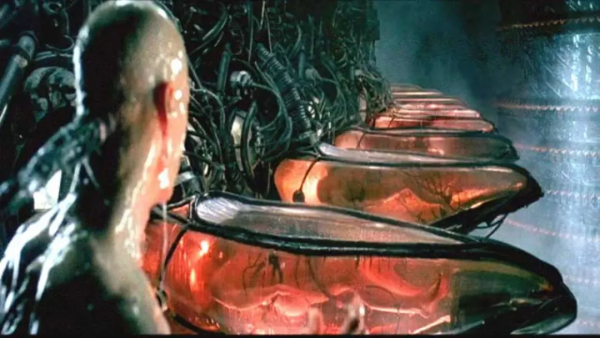 駭客帝國「缸中之腦」有眉目了?培養皿中百萬人腦細胞學會打乒乓 駭客帝國「缸中之腦」有眉目了?培養皿中百萬人腦細胞學會打乒乓