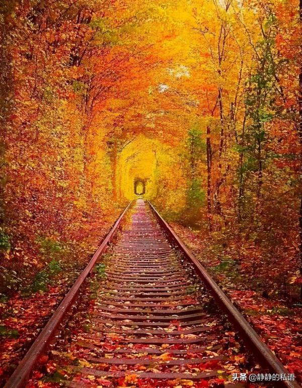 如果只是靠著相信“命中註定”會怎樣