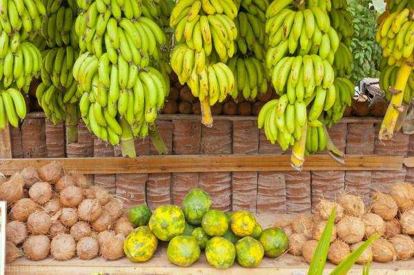 宋朝小江，印度山哥，歐洲拉廉的三人發財夢