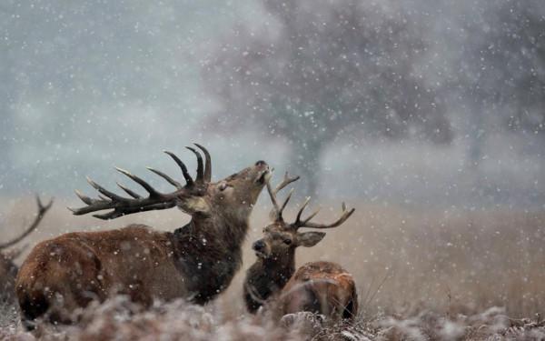 天生直覺敏銳，五感比較發達，第六感也準得“可怕”的星座
