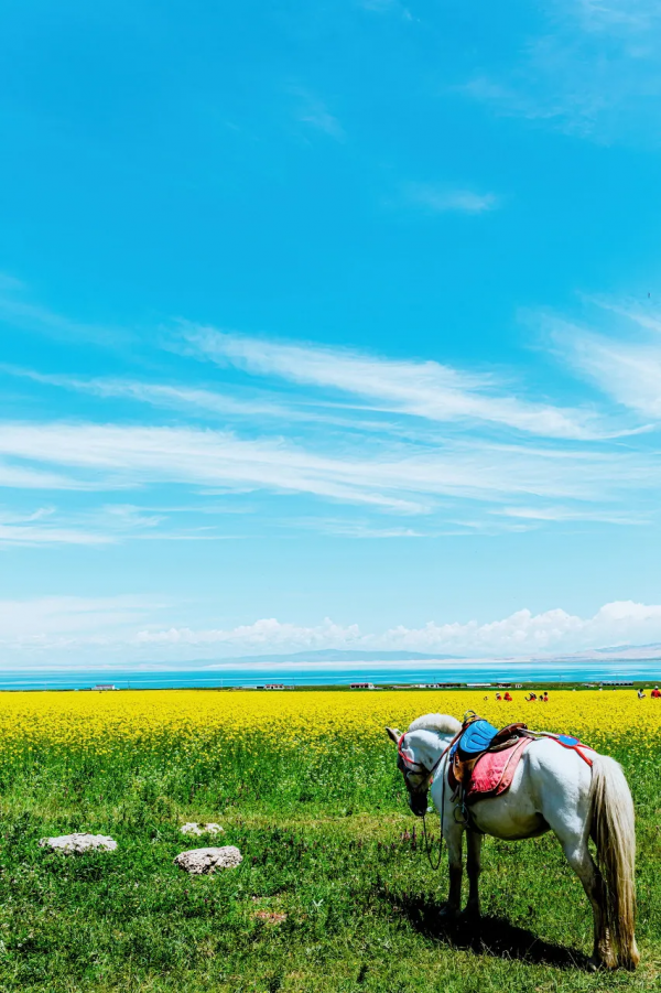 國內絕美旅遊勝地,外國人心中的“白月光”(三) 國內絕美旅遊勝地,外國人心中的“白月光”(三)