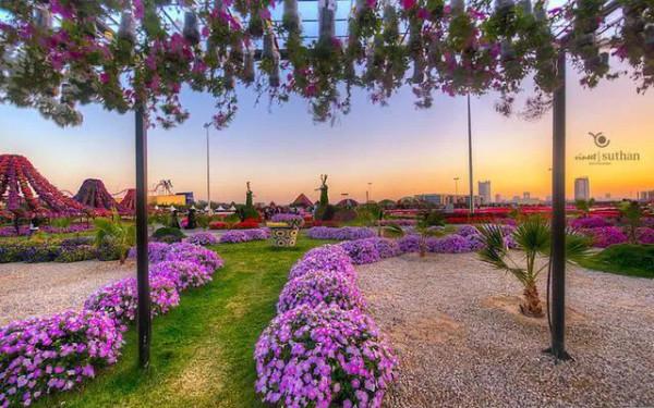 分享，最美花卉公園，收藏了