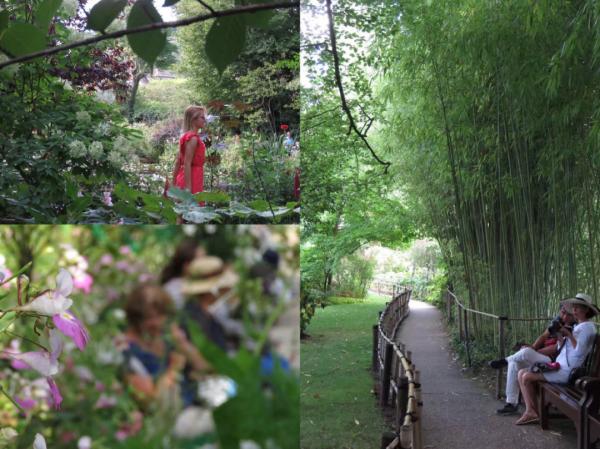 科普 | 莫奈花園——花園中的自然 水園中的睡蓮 科普 | 莫奈花園——花園中的自然 水園中的睡蓮