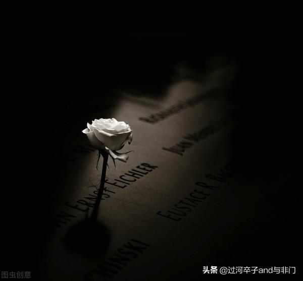 蘇聯志願援華航空隊：規模宏大、戰功卓著、犧牲慘烈的部隊