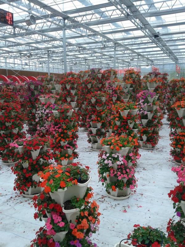 五彩田園，美麗的田園