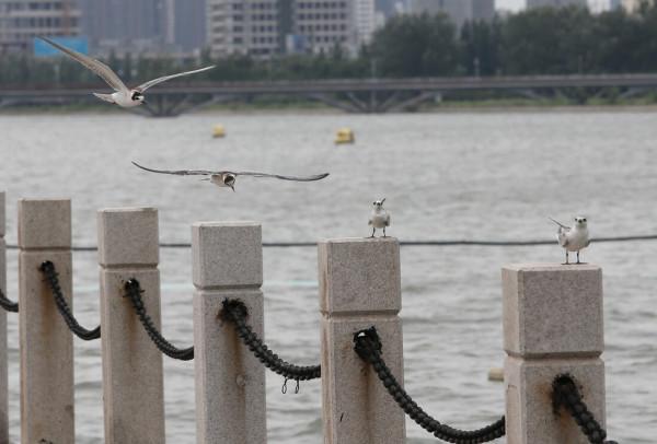 山西最大的公園,面積相當於25個故宮,先後投入51億元卻免費開放 山西最大的公園,面積相當於25個故宮,先後投入51億元卻免費開放