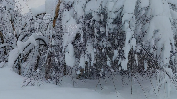 老同志把凍土豆讓給年輕人吃,自己餓倒後,再也沒起來 老同志把凍土豆讓給年輕人吃,自己餓倒後,再也沒起來