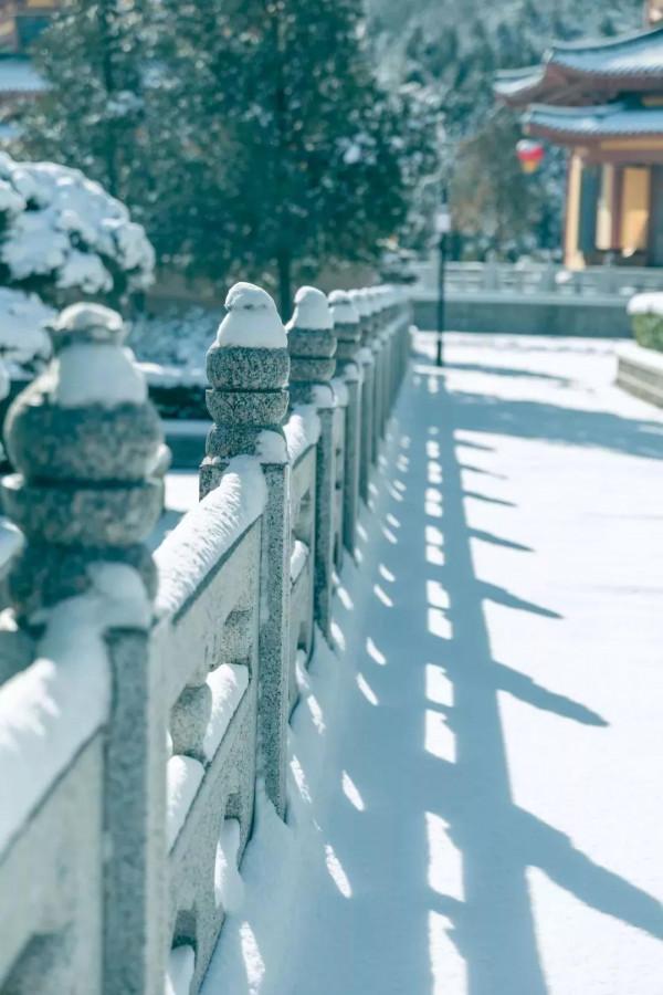 翔海集團:四季美景醉人心!龍口這個地方,一年四季都這麼美 翔海集團:四季美景醉人心!龍口這個地方,一年四季都這麼美