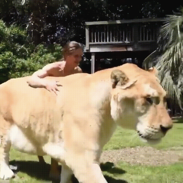 我們村小夥長得特像周杰倫