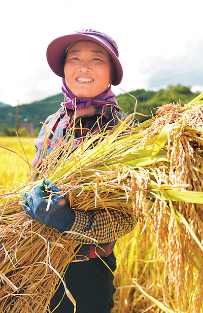 希望的田野 豐收的中國