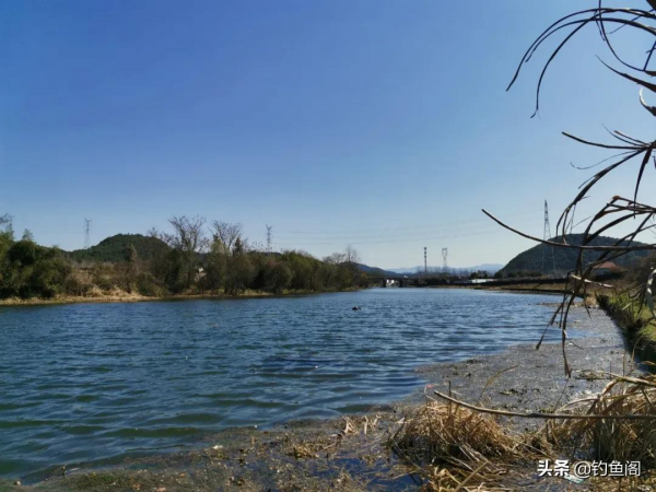 一颳風魚就不開口？多半是釣位錯了！守住這2種位置才有收穫