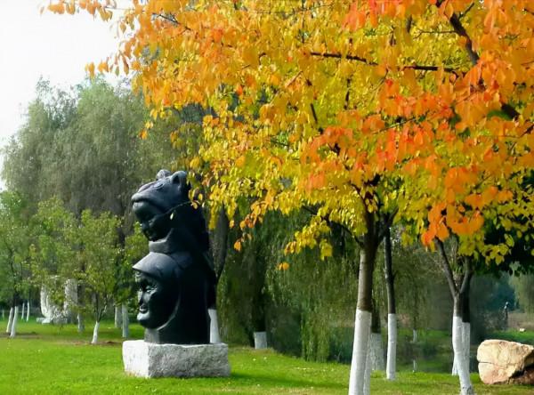 重陽節帶父母看城中最美紅葉林