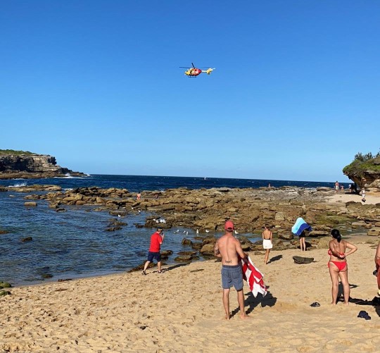 悉尼海灘鯊魚襲人致死，海水被染紅，多處海灘關閉