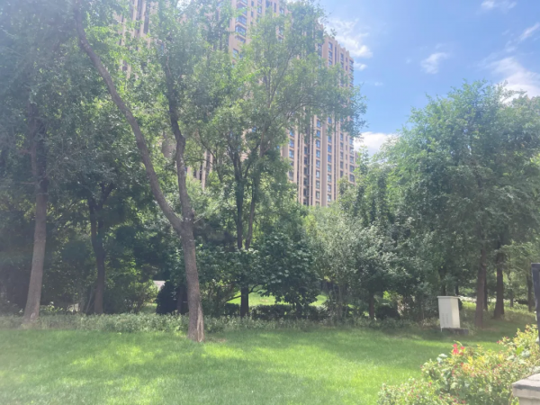 一個殘酷的事實 今年剛需可選的新盤很少了