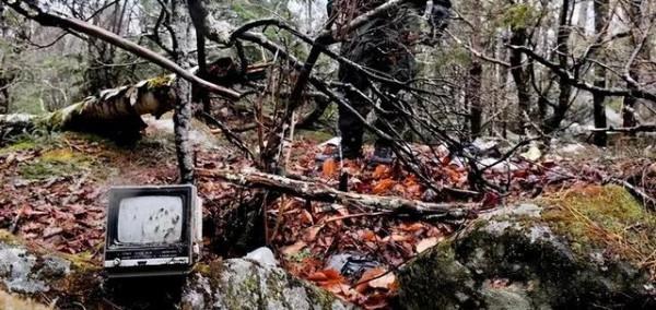 1986年20歲少年躲進野林隱居,一呆就是27年,後來怎麼樣了? 1986年20歲少年躲進野林隱居,一呆就是27年,後來怎麼樣了?