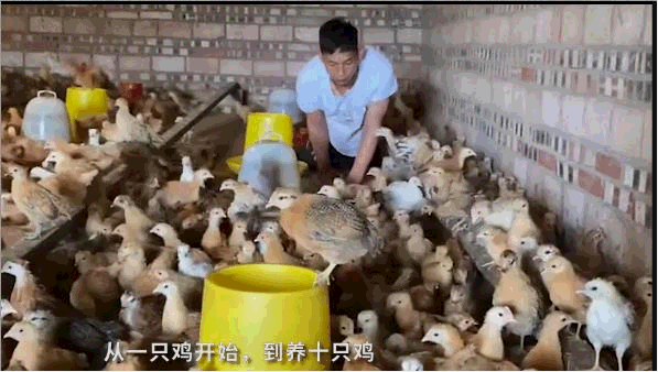 爬行娃：2歲時被父母狠心遺棄！一位善良的養父，一位感恩的兒子