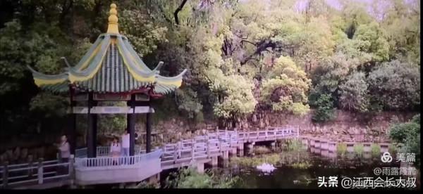 電影《你好，李煥英》和湖北化纖廠的故事