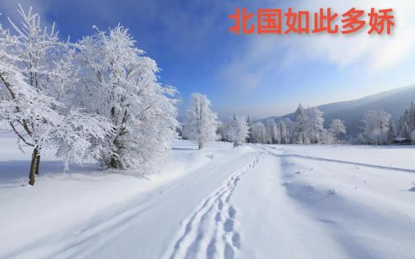 司馬南出生於東北，東北的雪景實在是美