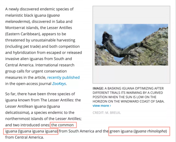 放心 你認識的綠鬣 還叫“綠鬣” 放心 你認識的綠鬣 還叫“綠鬣”