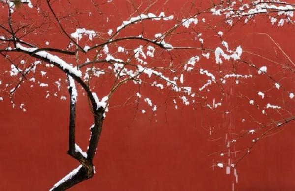 有哪些耐人尋味的短句? 有哪些耐人尋味的短句?