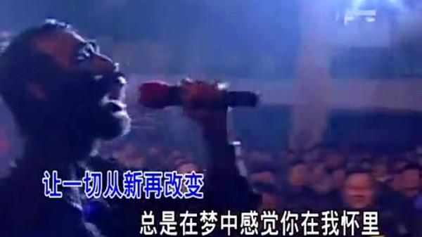 毛孩于震寰：出專輯，42歲娶90後嬌妻，他是如何走上人生巔峰的？