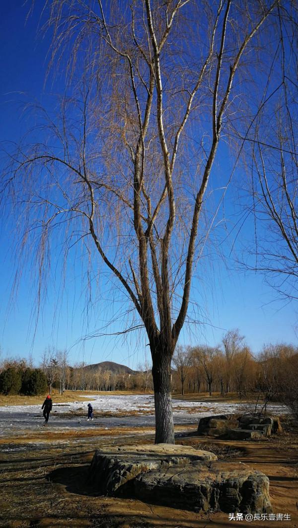 虎年初五遊覽白河城市森林公園