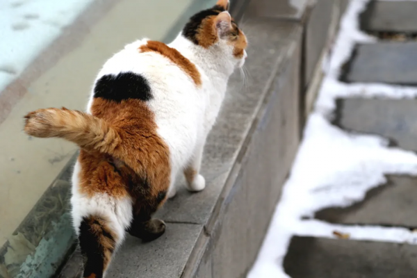 幹飽飯，才有力氣營業