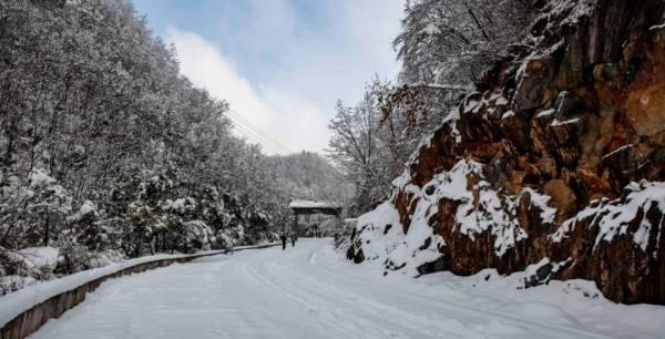 錯峰出遊，盡賞金絲峽冰雕玉琢雪景世界