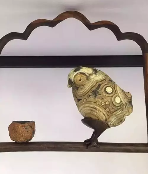 高價成交的66方奇石欣賞