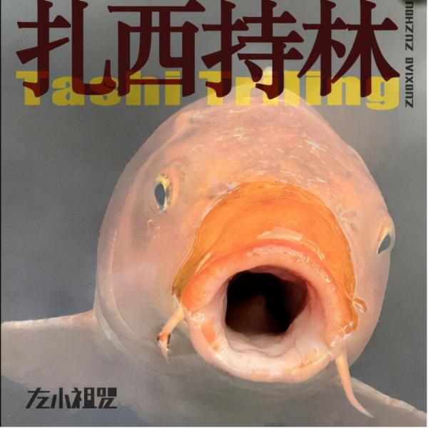 雲中漫唱——第十三屆華語金曲獎“雲頒獎”