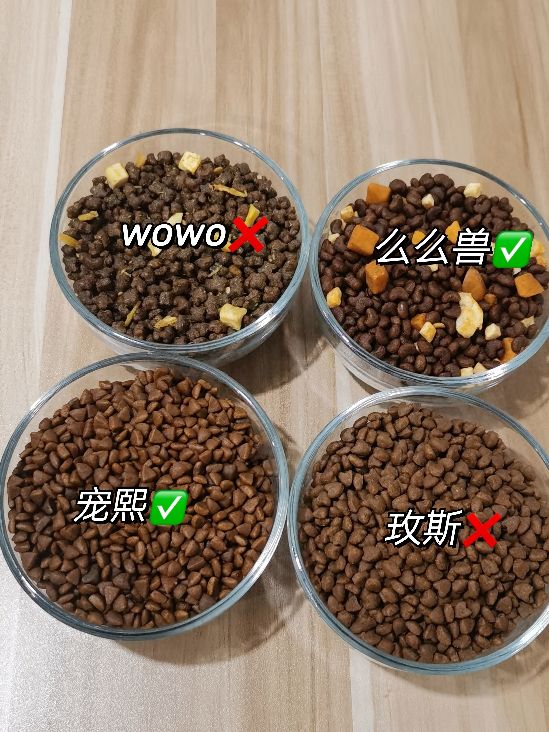 簡直離譜，還在吃“毒”貓糧嗎