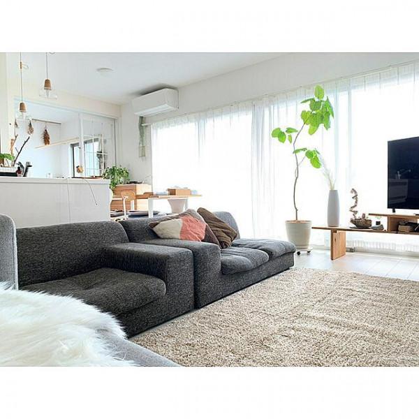 乾淨整潔的白色房間，配上不同品種，不同大小的綠植，效果大不同