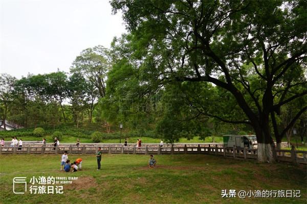 西安鬧市這片“荒地”,竟是唐朝長安城罕見的真實遺蹟,你知道嗎 西安鬧市這片“荒地”,竟是唐朝長安城罕見的真實遺蹟,你知道嗎