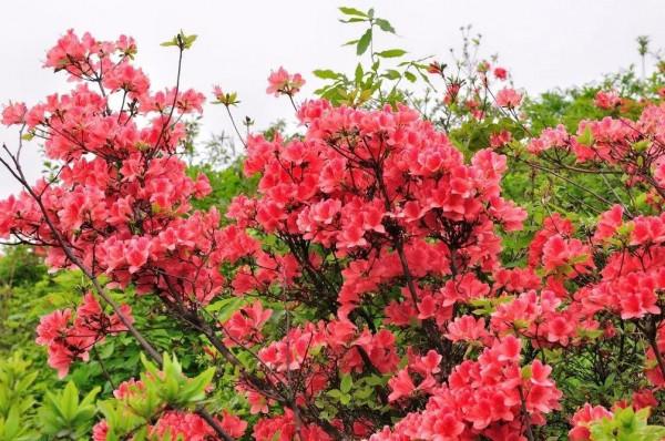 大道“損有餘而益不足”的互補和平等互助