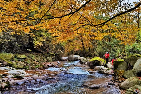 秘境南壩溝——四川光霧山 秘境南壩溝——四川光霧山