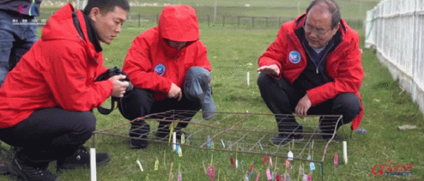 “去三江源國家公園見到野生動物的機率是100%”,他為何能自信承諾? “去三江源國家公園見到野生動物的機率是100%”,他為何能自信承諾?