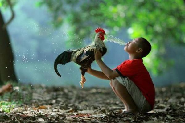 86個難得一見的照片，仙鶴踢飛老鷹，世界最早自拍，鞭腿的力量