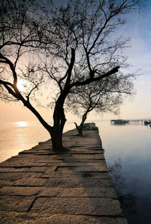 散文：一幀幀過往，皆是回不去的流年