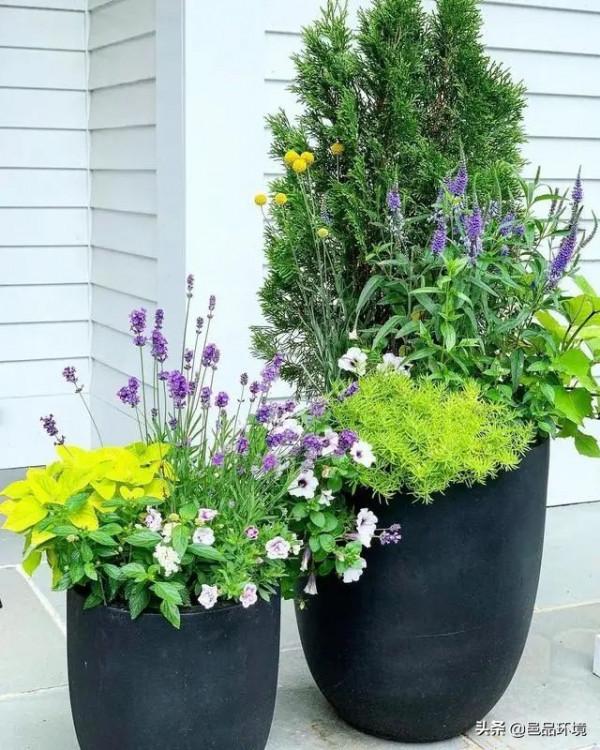 邑品科普丨收下這份攻略，你也可以打造獨一無二的容器花園