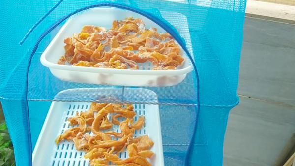 這7種曬乾更香的廉價蔬菜，冬天燉肉特過癮，太香了，放1年也不壞